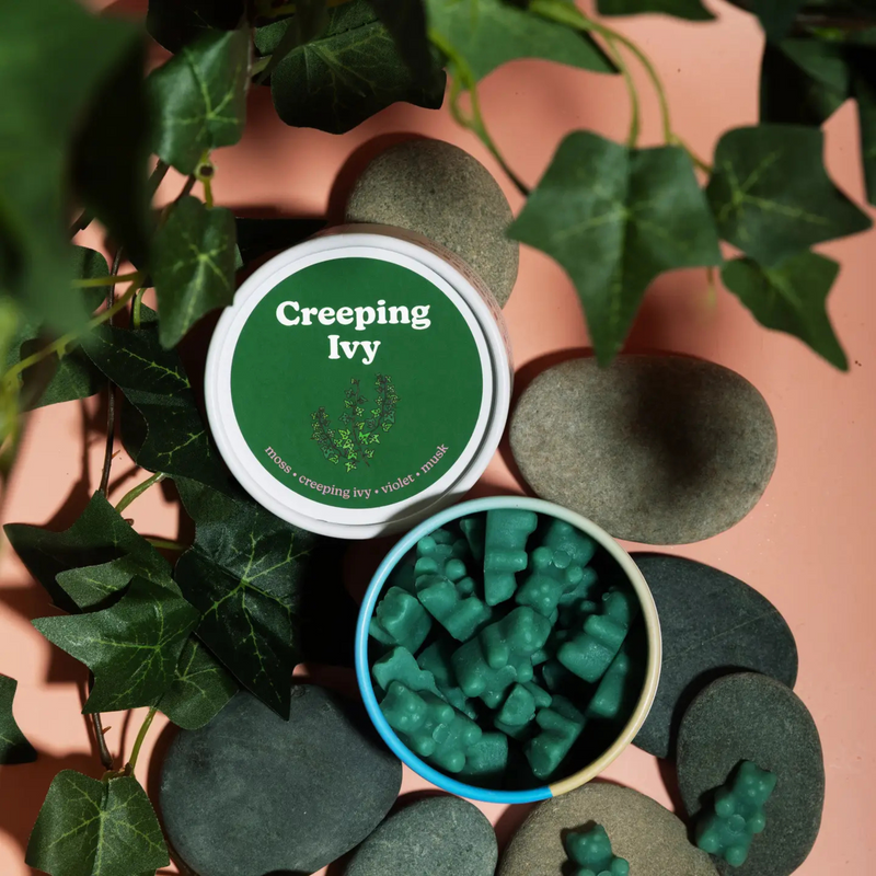 Creeping Ivy Wax Melts